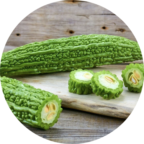 Bittermelon Bittermelon